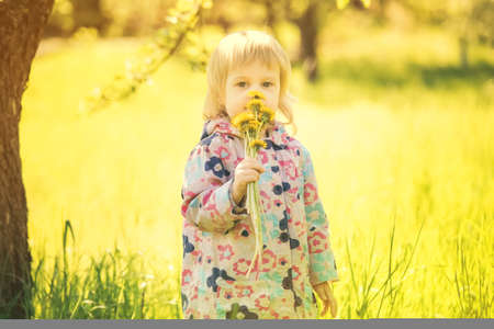 Girl with flower in hand. Child playing alone with yellow dandelion flowers in sunny garden or backyard on spring sunny dayの写真素材