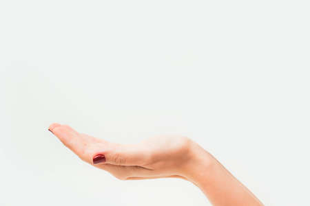 Young girl with beautiful red manicure holding hand as if showing something virtual and invisible on palm. Close up of one caucasian female hand isolated on white background.の写真素材