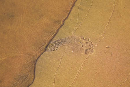 Female foot print in sand of tropical beach at sunrise or sunset light. Horizontal color photo.の写真素材