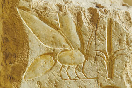 Old drawings cuted in ancient walls in Egypt, Luxor. Horizontal color photo.