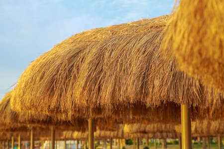 Tops of old beach umbrellas made of natural materials isolated over blue sky background. Photo shot at sunrise time. Horizontal color image.の写真素材