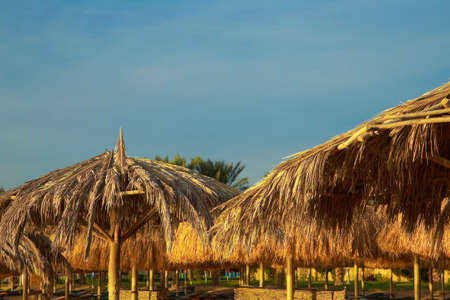 Tops of old beach umbrellas made of natural materials isolated over blue sky background. Photo shot...