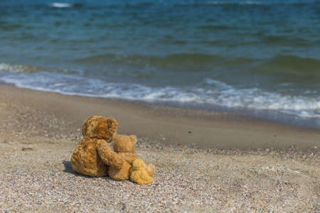 Happy family on summer vacation at seaside concept. 3 cute brown teddy bears sit at tropical beach...