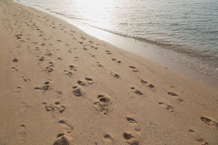 Many human footprints in sand of Red sea beach in morning soft sunlight. Horizontal color image.