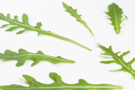 Macro top view image of fresh green leaves of italian arugula isolated on white plate. Rucola salad. Organic healthy diet food. Horizontal color photography.の写真素材