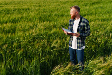 A bearded farmer with a notebook stands in the center of a large field of wheat. Harvest preparation...