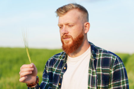 Portrait of a bearded farmer who is looking at an ear of wheat. Future harvest for the food industryの写真素材