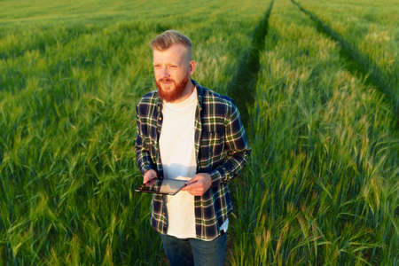 Inspection of a wheat field. A young agronomist with a tablet on the background of a green field. food problems in the worldの写真素材