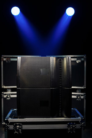 Sound speakers in the soffits of the concert light