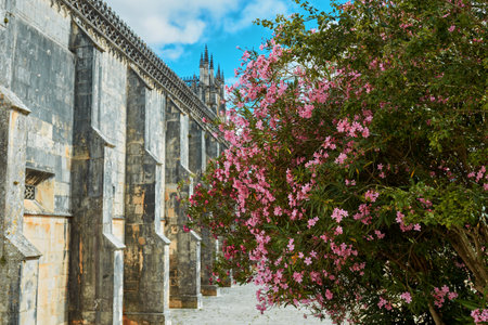 Landscape of an old street with a flowering bush