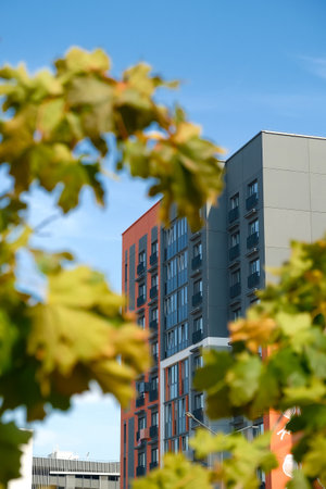 Amid lush green leaves, contemporary apartment buildings rise against a clear blue sky, creating a vibrant urban environment that feels inviting and lively.の写真素材