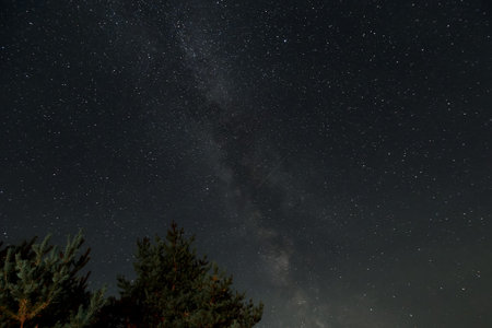 Above a serene forest, countless stars twinkle brightly in the night sky, showing the beauty of a...