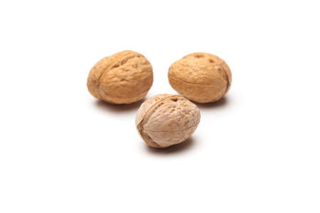 Walnut Juglans regia