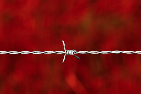 Taut shiny barbed wire over a blood red backgroundの写真素材