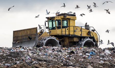 Landfill bulldozer on horizon mobbed by birdsの写真素材