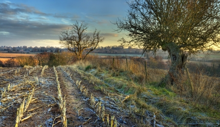 Farmland on a cold winters evening, Drayton near Belbroughton, Worcestershire, England.の写真素材
