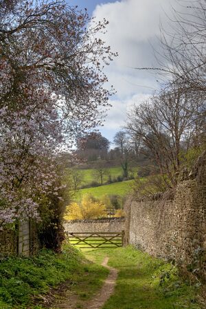 The Heart of England Way in Spring, Cotswolds, Gloucestershire, England の写真素材