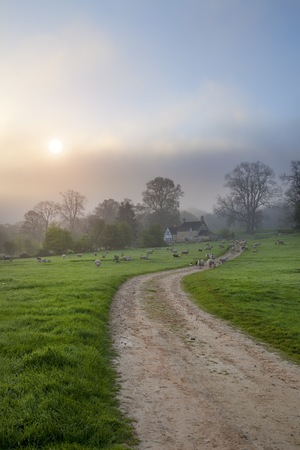 The sun rising over damp pasture near the Cotswold town of Chipping Campden, Gloucestershire, England の写真素材
