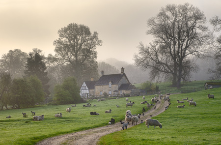 A misty Cotswold spring morning, Saintbury near Chipping Campden, Gloucestershire, England の写真素材