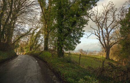 Cotswold lane to Willersey, Gloucestershire, Englandの写真素材