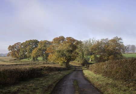 Cotswold lane in autumn, Gloucestershire, Englandの写真素材