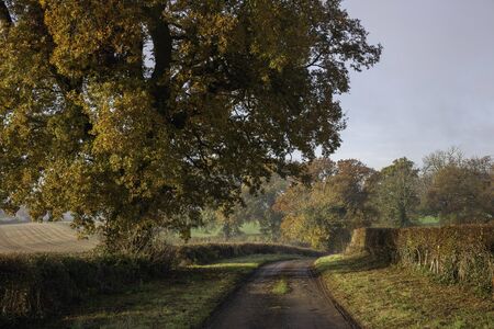 Cotswold lane, Gloucestershire, England