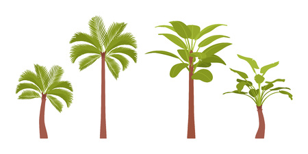 Palm trees set Vector illustration.のイラスト素材