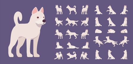 White dog set. Working active breed, cute family home pet, companion for disability assistance, search, rescue, police, military help. Vector flat style cartoon illustration, different views and posesのイラスト素材