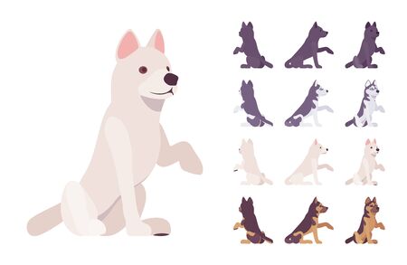 Black, White dog, Husky, Shepherd sitting set. Pet, family companion, home guarding, farm or police security breed. Vector flat style cartoon illustration isolated, white background, different viewsのイラスト素材