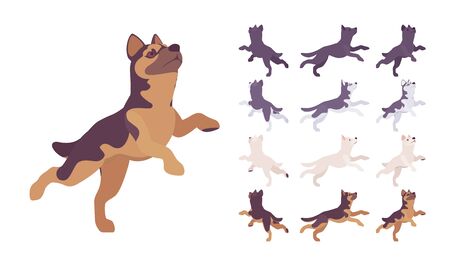 Black, White dog, Husky, Shepherd jumping set. Pet, family companion, home guarding, farm or police security breed. Vector flat style cartoon illustration isolated, white background, different viewsのイラスト素材