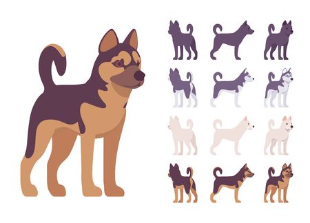Black, White dog, Husky, Shepherd standing set. Pet, family companion, home guarding, farm or police security breed. Vector flat style cartoon illustration isolated, white background, different viewsのイラスト素材