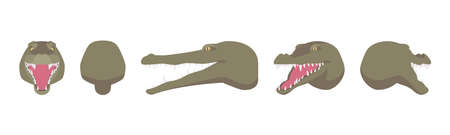 Animal mask crocodile head, faux taxidermy gallery wall mount decorのイラスト素材