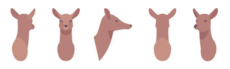 Animal mask roe head, faux taxidermy gallery wall mount decorのイラスト素材