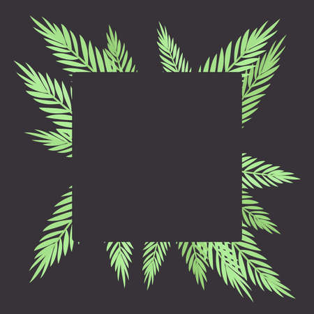 Palm tree square background, copyspace for tropical themed card decor. Green tropical leaves, jungle hawaiian branches, plant greenery flora decorative elements for island party. Vector illustrationのイラスト素材