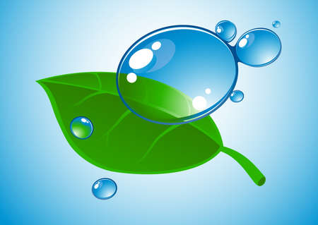 water drop and leafのイラスト素材