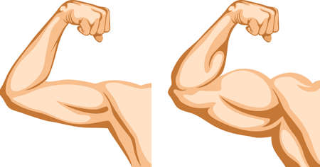Before and After. Two hands shows progress after fitness.のイラスト素材