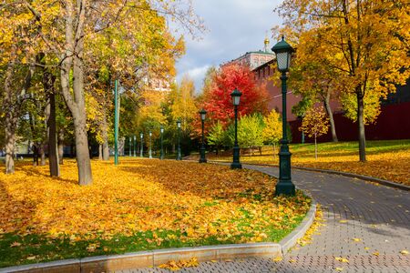 Alexander Gardens in autumn. Alley with lanterns and yellow foliageの写真素材