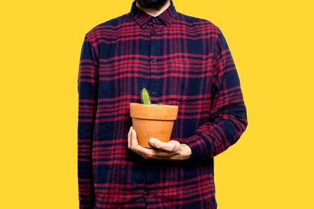 Young man holding a small plant of cactus with his left hand. He's in the center of the image. The background is yellow. The cactus is inside a brown vaseの写真素材