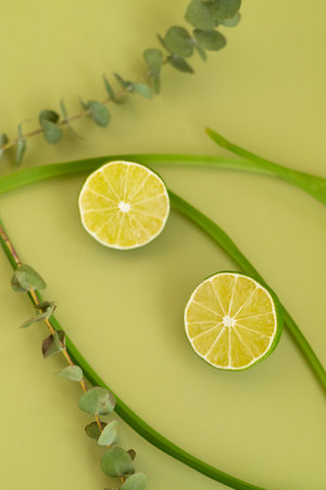 Oranges, lemons and limes on a monochromatic background with green branches. High quality photo