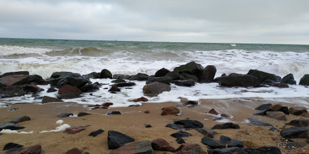 Nature around usの写真素材