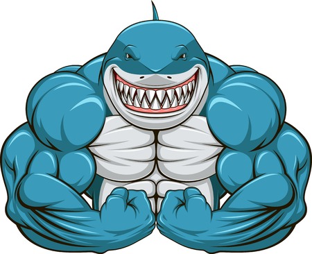 Vector illustration, toothy white sharkのイラスト素材