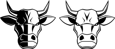 Vectorial illustration, healthy ferocious bull on a white backgroundのイラスト素材