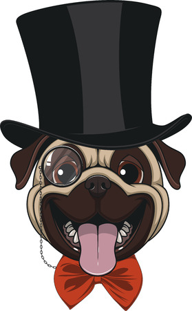 Vector illustration of funny pug wearing a hat, on a white backgroundのイラスト素材