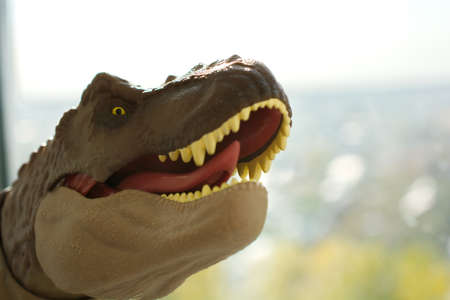 Portrait of a dinosaur on blurredの写真素材