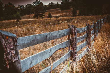 wooden fence on grass under sunnyの写真素材