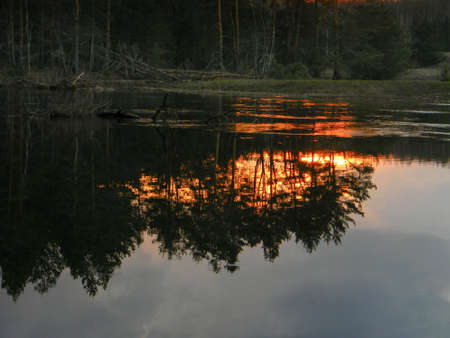 The river reflects the silhouette of the forest at sunset bright sun.