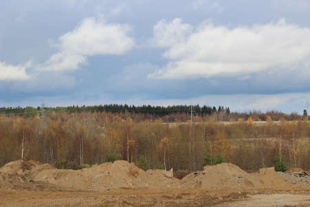 autumn forest