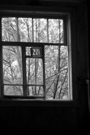 A vertical shot of a window in a dark room with trees in the backgroundの写真素材
