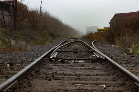 Railway tracks in a foggy day. View from above.