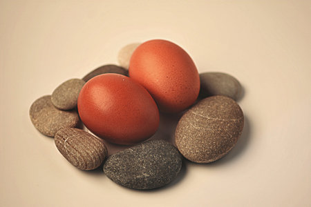 Easter eggs and stones on a white background. Toned.の写真素材